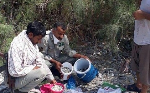 دستگیری عامل صید با مواد شیمیایی در سیستان و بلوچستان