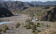 زیستگاه های سیستان و بلوچستان؛ خانه ای امن برای گونه های حیات وحش/کومه های متخلفان محیط زیستی تخریب شد