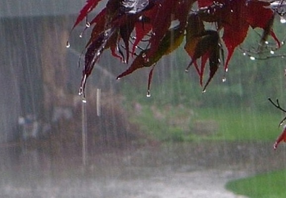 شروع مجدد بارش های مونسون با 19 میلی متر باران در قصرقند