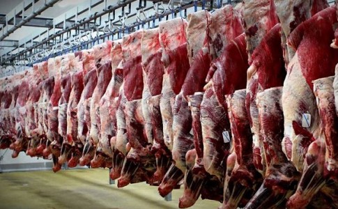 اهمال در استفاده از ظرفیت‌های مرزی جنوب شرق کشور/ دولت موانع جهش تولید در صنعت گوشت قرمز را برطرف کند