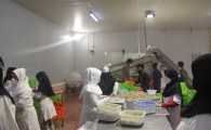 اشتغال 50 نفر درمجتمع صنایع غذایی چابهار/ارسال میگوهای بسته بندی به بازارهای داخلی و خارجی