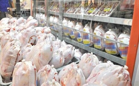 توزیع مرغ به نرخ دولتی در میادین میوه و تره بار
