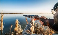 شلیک شکارچیان به حیات وحش بزرگترین دریاچه آب شیرین ایران/ وقتی روزهای سبز هامون با هجوم دوباره صیادان خزان می شود