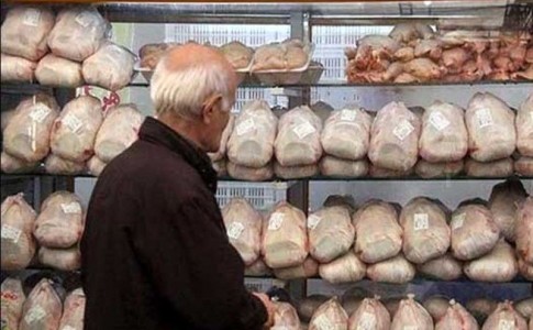 مرغ دوباره گران شد / قیمت مرغ در بازار به 24 هزار تومان رسید! / ما شرمنده ایم!