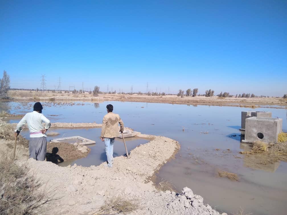 رهاسازی مرحله دوم آب کشاورزی در اراضی تحت پوشش طرح آبرسانی دشت سیستان