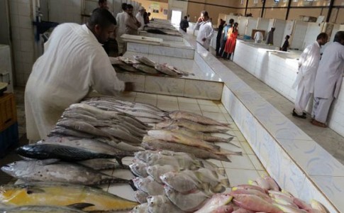 مصرف ماهی در سیستان و بلوچستان بیش از سرانه جهانی/ پروتئینی که سرشار از ویتامین دی است
