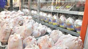 آغاز توزیع ٨۵٠ تن گوشت مرغ منجمد  در سیستان وبلوچستان