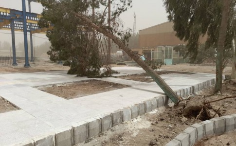 سقوط ۳۴۹ اصله درخت و تخریب 23 دیوار منازل مسکونی در زاهدان/تداوم عملیات پاکسازی و ایمن سازی تا پایان طوفان