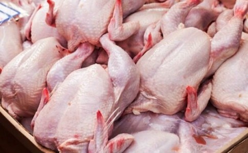 علت افزایش قیمت مرغ/ باید هزینه تولید را جبران می کردیم