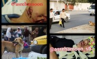 سایه ترس در کوچه پس کوچه های شهر و بی خیالی شهرداری ها/ از جولان دسته جمعی سگ های ولگرد تا حمله به کودک 10 ساله در زابل