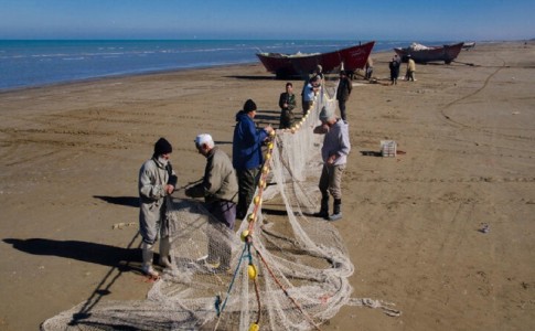 سیستان و بلوچستان ۸۰ درصد نیاز تور ماهیگیری کشور را تامین می‌کند