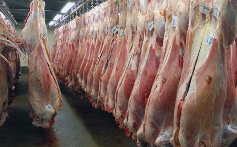 ٣٠٠ تن گوشت قرمز تولیدی دامپروران خاش به بازار عرضه شد
