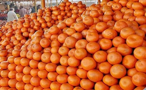 واردات نارنگی پاکستانی از بازارچه های مرزی سیستان و بلوچستان آزاد شد