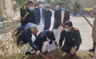 روز درختکاری فرصتی مغتنم برای توجه به فضای سبز/ آمادگی بسیج برای کمک به اجرای طرح های نویین آبرسانی در مهرستان