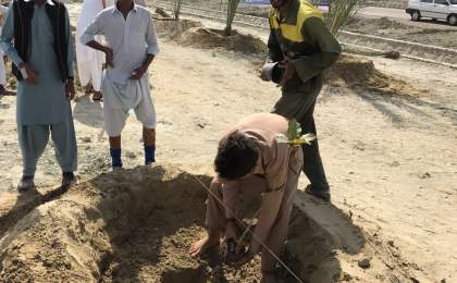 کاشت ۶ هزار اصله نهال به مناسبت روز درختکاری در نیک‌شهر