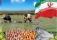 مرکز فروش محصولات کشاورزی و صنایع دستی در ایرانشهر راه‎اندازی شد