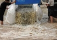 رها سازی 3 میلیون قطعه بچه ماهی در تالاب هامون