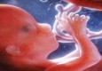 مراحل شکل گیری جنین تا به دنیا آمدن نوزاد+ تصاویر