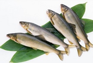 افزایش 7 درصدی مصرف آبزیان / سرانه میزان مصرف ماهی همچنان محدود است