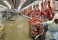 سیستان و بلوچستان دروازه واردات گوشت قرمز از کشور همسایه