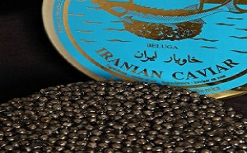 خاویار ایرانی حرف اول در دنیا را می زند/ تولید 390 هزارتنی انواع آبزیان در سال گذشته