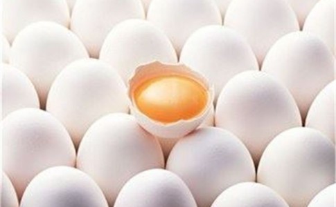وعده‌ حمایت از صادرات تخم مرغ محقق نشد/۶۰۰ تومان زیر قیمت می‌فروشیم