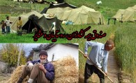 رفع مشکلات روستاییان در راستای عضویت در صندوق اجتماعی کشاورزان/قریب به 892 نفر در صندوق بیمه کشاورزان عضو هستند