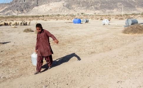 مزارع سیستان در حال سوختن است/ مهاجرت مردم در پی خشکسالی