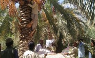 خدمات بی شائبه بسیجیان سراوانی در مناطق محروم/ اردوی جهادی یک روزه در روستای هوشک برگزار شد+ تصویر