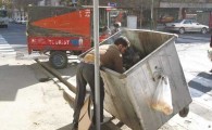کتفی ها بلای جان ساختمان سازها در جنوب سیستان و بلوچستان!