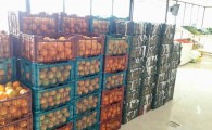 ذخیره 750تن میوه شب عید در سیستان و بلوچستان/ مردم نگران تامین اجناس عید نباشند