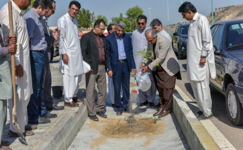 کاشت بیش از هزار اصله درخت و درختچه در بلوار دانشگاه منطقه آزاد چابهار