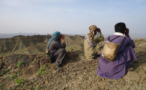 آغاز سرشماری پستانداران حیات وحش در سیستان و بلوچستان