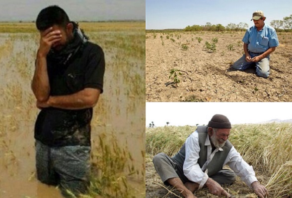 روزهای سخت کشاورزان سیستان وبلوچستان؛ خسارت سنگین غرامت ناچیز
