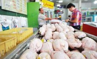کاهش قیمت و رضایت نسبی مصرف کنندگان و تولیدکنندگان مرغ / خرید مرغ از مرغداری های سطح شهر