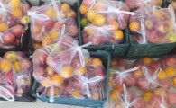 صد بسته میوه بین نیازمندان ایرانشهری توزیع شد