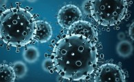 آنفلوآنزا؛ بیماری که سالمندان و بیماران زمینه ای را از پای در می آورد/ همه گیری و جهانگیری بالا در تیپ  A ویروس