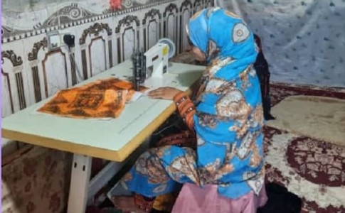 بهره برداری از ۶۰ طرح اشتغالزایی روستایی بنیاد برکت در دلگان