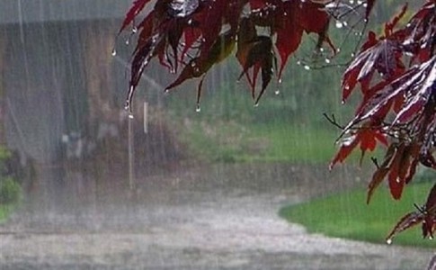 بارش های بهاری در 80 ایستگاه هواشناسی سیستان و بلوچستان/ «کارواندر» با 65 میلی متر رکوردار شد