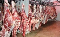 قابلیت ویژه سیستان و بلوچستان برای خودکفایی کشور در تامین گوشت قرمز/ متولیانی که وارد کننده گوشت بودند و فاجعه آفریدند