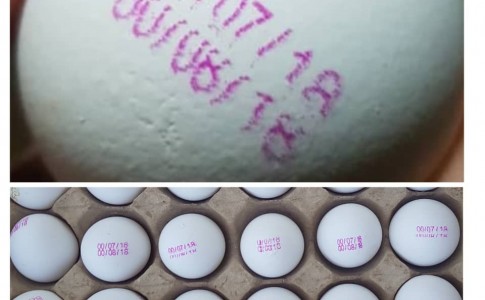 ۷۵۰ کیلوگرم تخم مرغ با تاریخ تقلبی کشف و ضبط شد/عمر ماندگاری تخم‌مرغ در شرایط مناسب ۳۰ روز است