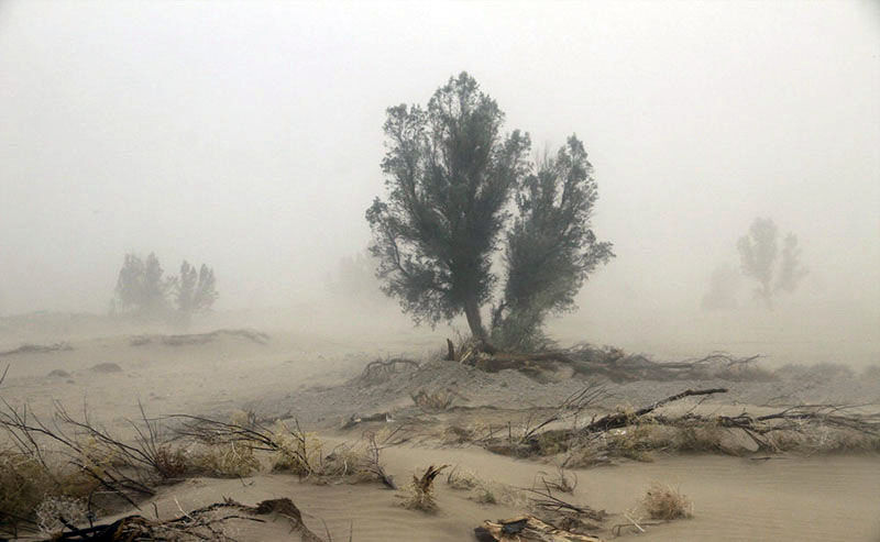 تداوم بادهای شدید شمالی و گردش غبار در جنوب شرق کشور/ گرد و غبار میدان دید را در سیستان به ۹۰۰ متر رساند