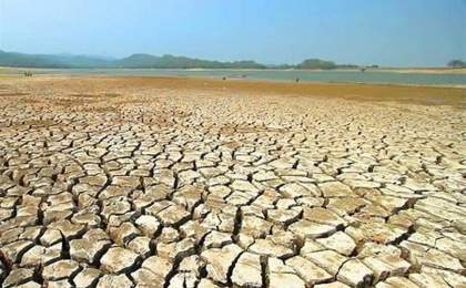 کاهش ۹۵ درصدی تولید گندم در بحران خشکسالی شهرستان زابل